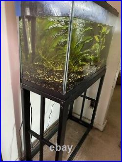 AQUARIUM 30 Gallon Fish Tank with Black Metal Stand 3 Fish, 2 Plants, Supplies