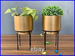 Golden Cylindrical Table Planter Pot for Living Room Iron Stand 23 cm Set of 2