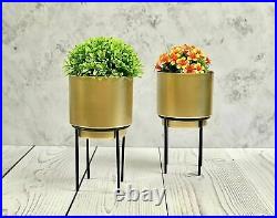 Golden Cylindrical Table Planter Pot for Living Room Iron Stand 23 cm Set of 2