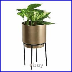 Golden Cylindrical Table Planter Pot for Living Room with Iron Stand 23 cm