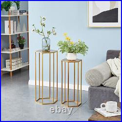 Set of 3 Gold Metal Plant Stands Indoor Hexagon Flower Display for Living