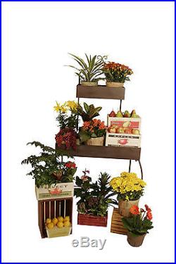 WaldImports Multi-tiered Plant Stand